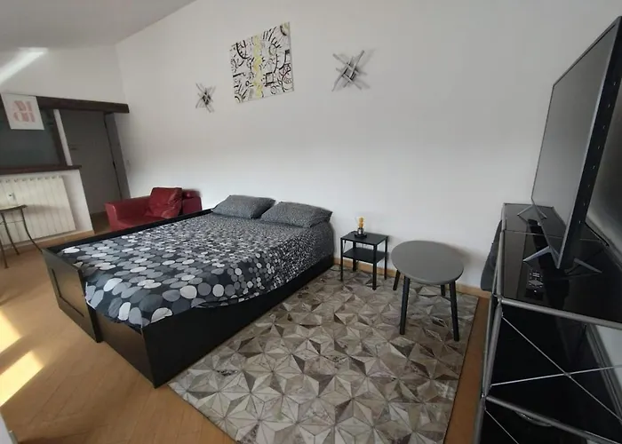 Il Mulo Volante - Panoramico Attico Con Terrazzo A Trastevere *